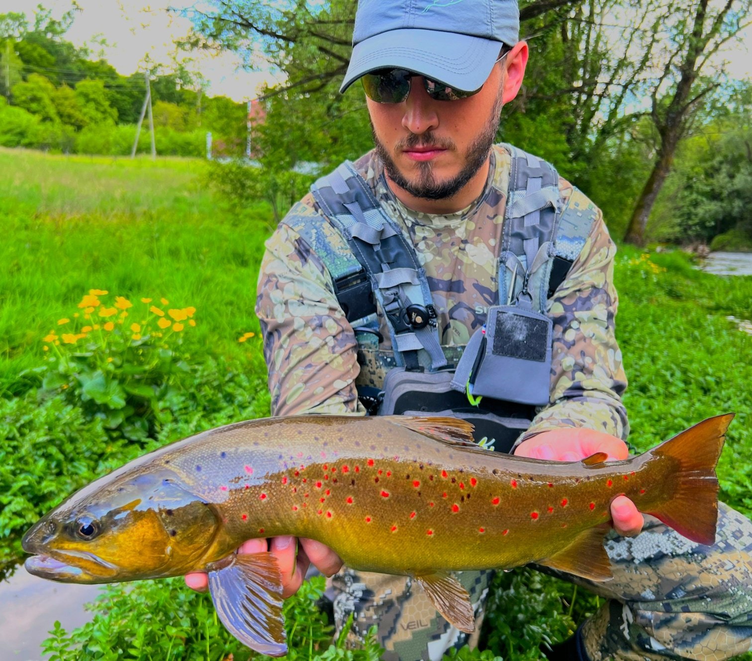 Seasonal Fly Fishing in Bosnia: What to Expect Throughout the Year 2