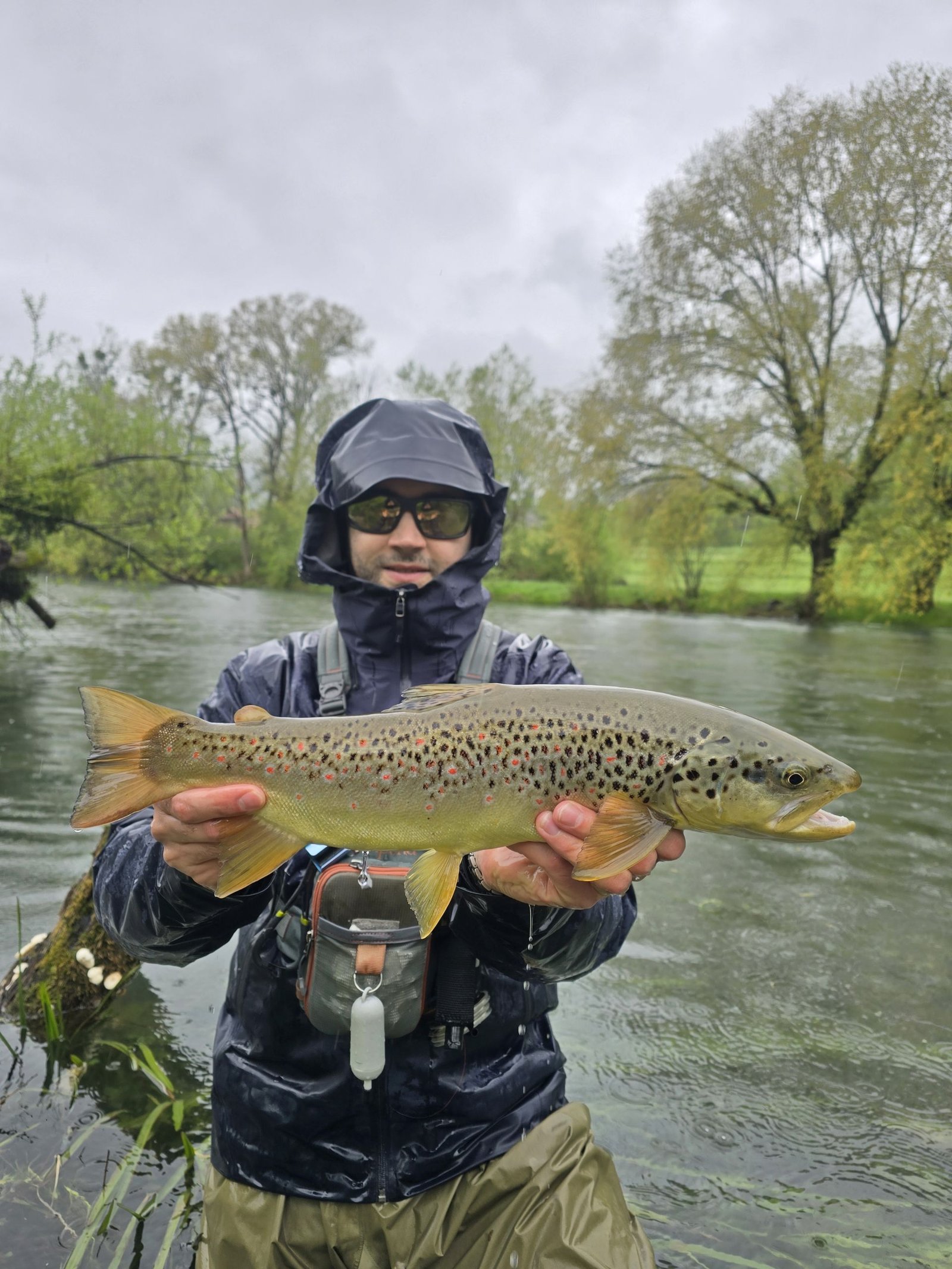Seasonal Fly Fishing in Bosnia: What to Expect Throughout the Year 1