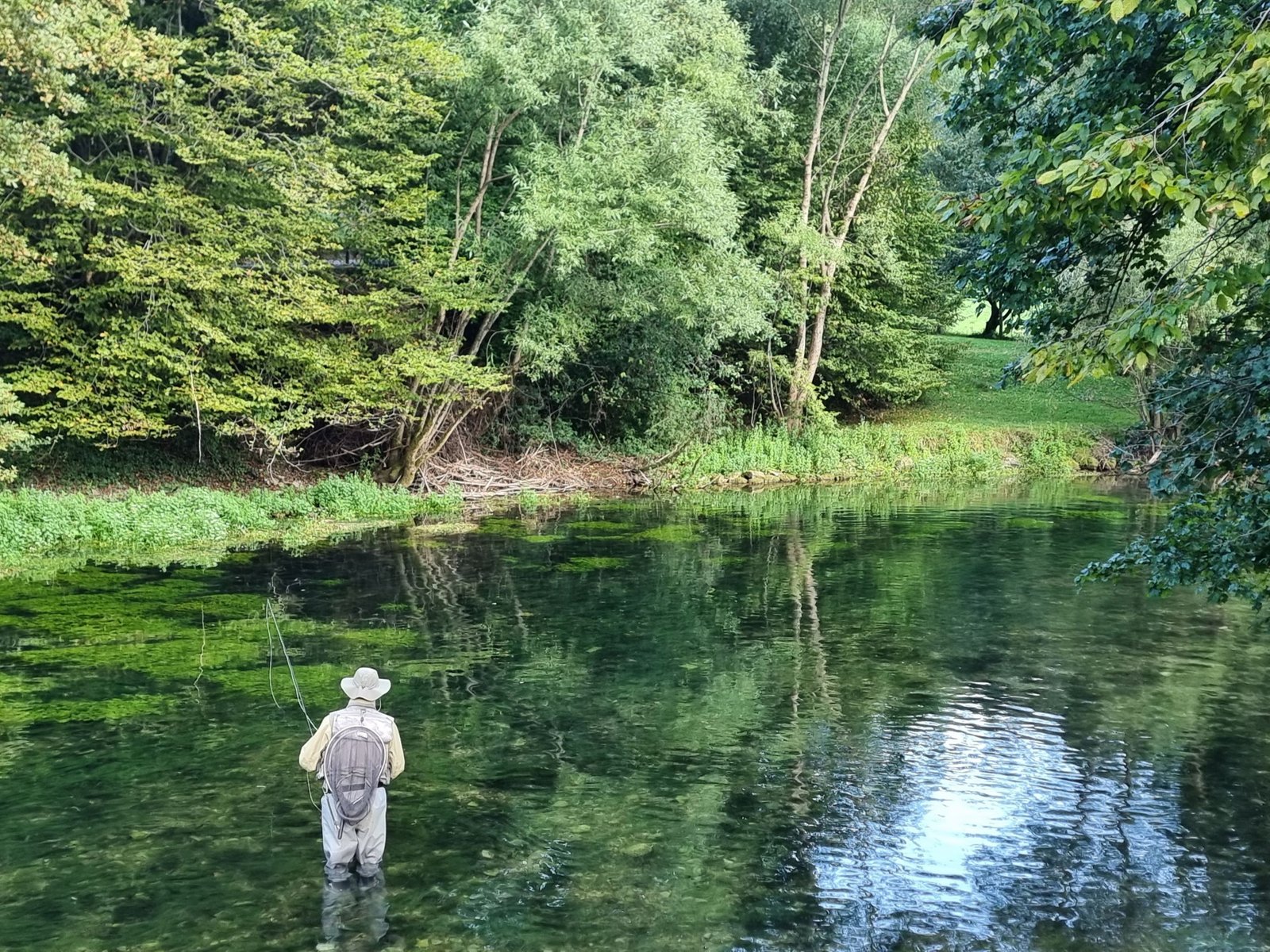 Seasonal Fly Fishing in Bosnia: What to Expect Throughout the Year