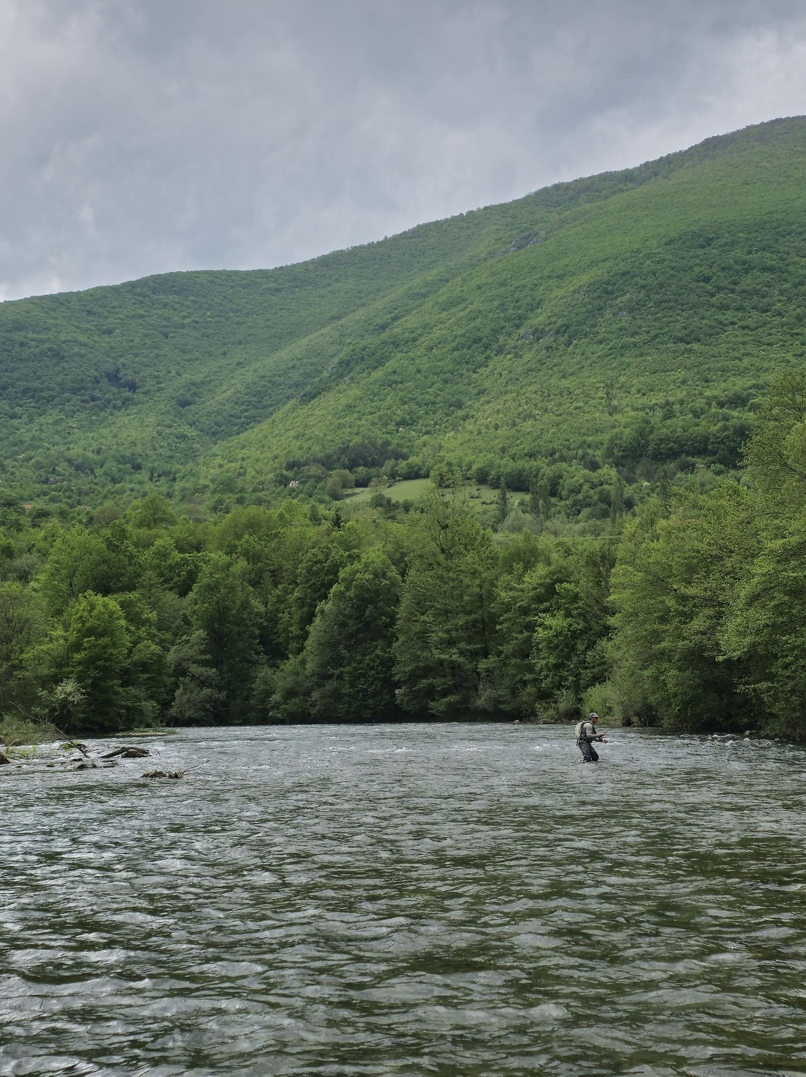 Fly Fishing in Bosnia: Top 5 Rivers to Visit 3