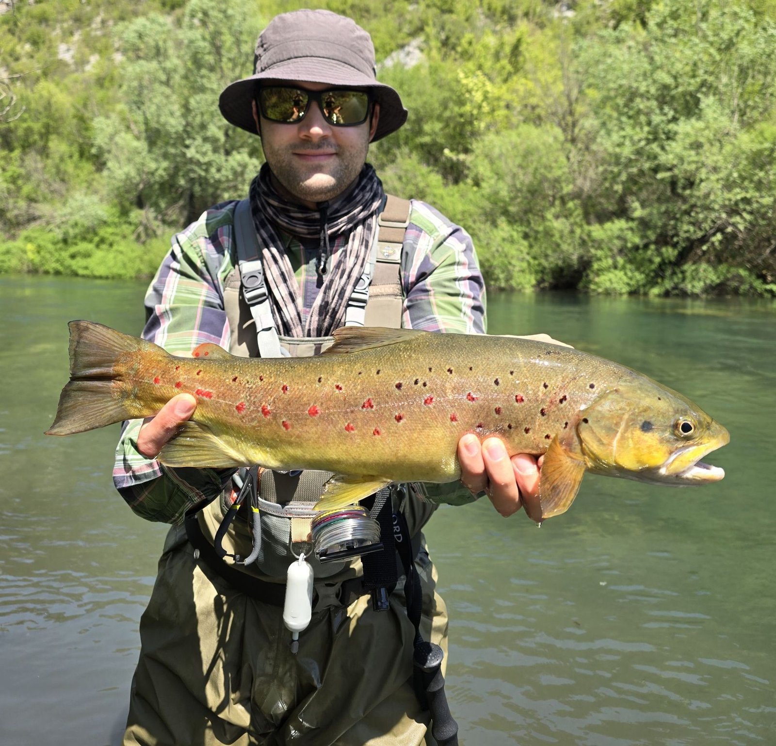 Spring Strategies: Fly Fishing for Big Brown Trout with Large Dry Flies