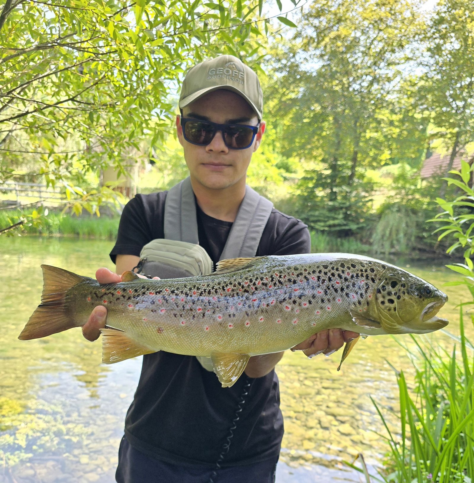 Spring Strategies: Fly Fishing for Big Brown Trout with Large Dry Flies 2