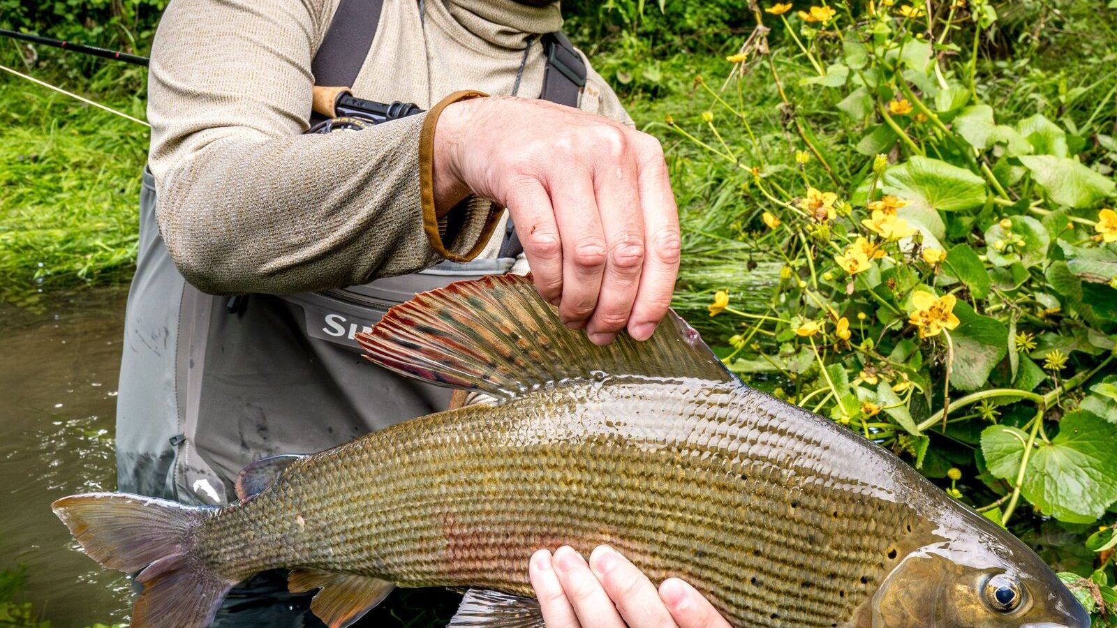 Stories from the River: How Sam Landed the Grayling of a Lifetime