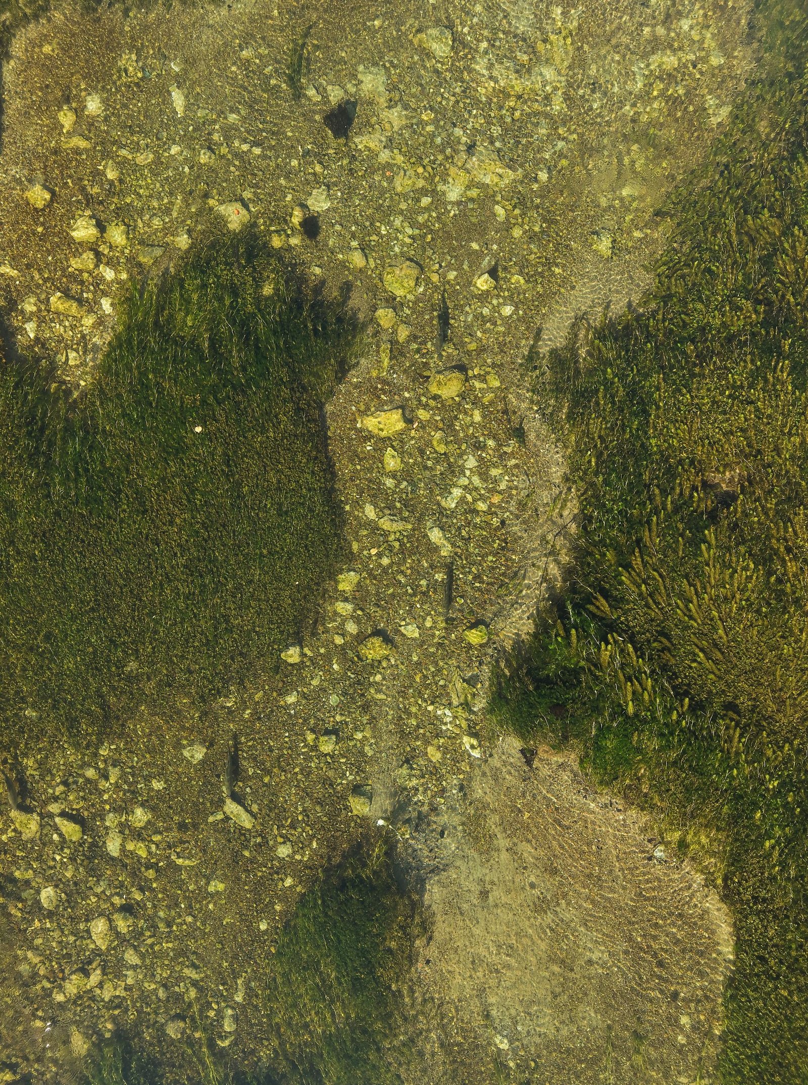 Exploring the Pliva River: A Fly Fishing Paradise for Trophy Graylings in Bosnia 2