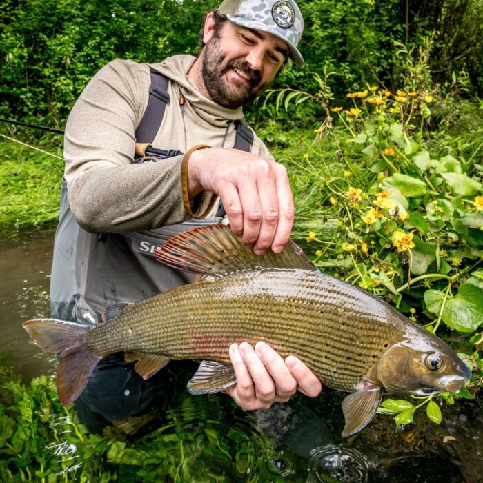 Fly fishing in Bosnia – grayling sam