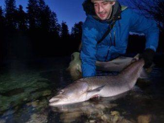 Fly fishing in Bosnia – hucho 1