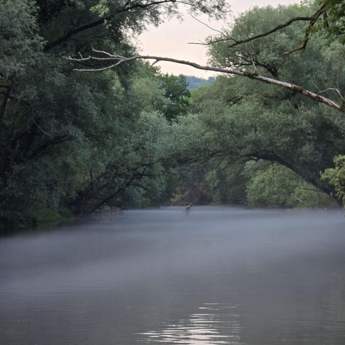 Fly fishing in Bosnia – misty river