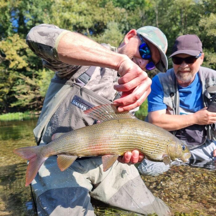Fly fishing in Bosnia – release