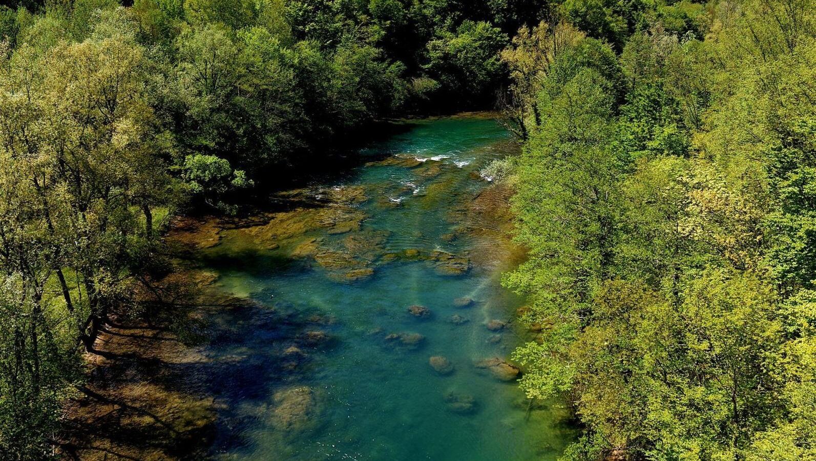 Fly fishing in Bosnia – sana
