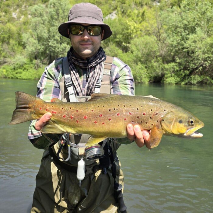 Fly fishing in Bosnia – spring browns